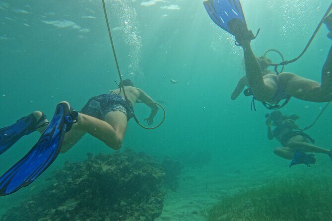 Catamaran Party and Hooka Diving Experience - Authentic Reviews and Feedback