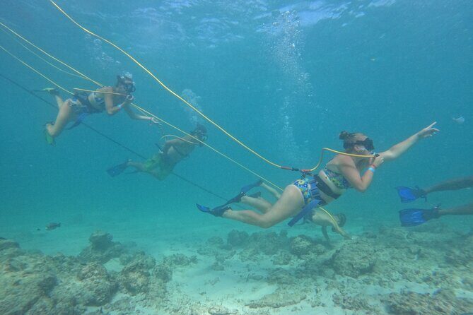 Catamaran Party and Hooka Diving Experience - The Sum Up