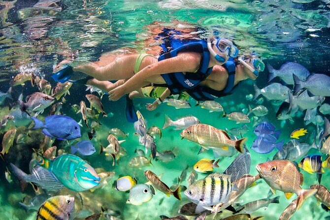 Catamaran party in Punta Cana with open bar, music and more - Insights from Travelers: The Good and the Not-So-Good