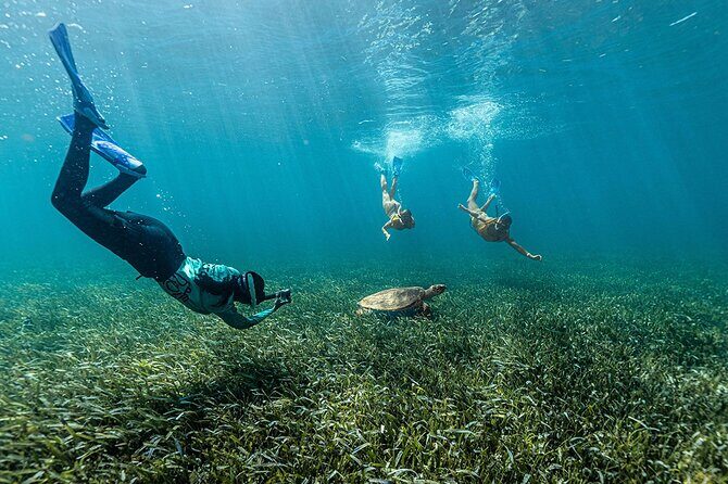 Catamaran Plus Reef Snorkeling and Isla Mujeres Visit - Frequently Asked Questions