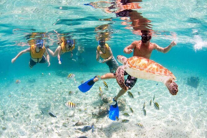 Catamaran Plus Tour to Isla Mujeres with National Open Bar from Cancun - FAQ