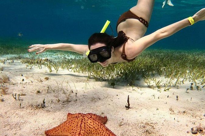 Catamaran Sky Tour in Cozumel - Final Thoughts: Is It Worth It?