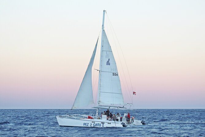 Catamaran Snorkel at Los Cabos! Gorgeous Snorkel & Party + Round Transportation - An In-Depth Look at the Catamaran Snorkel Tour