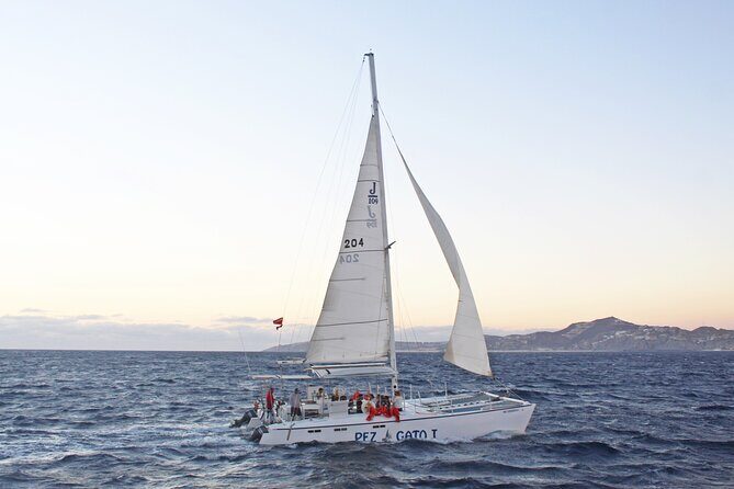 Catamaran Snorkel at Los Cabos! Gorgeous Snorkel & Party + Round Transportation - FAQ