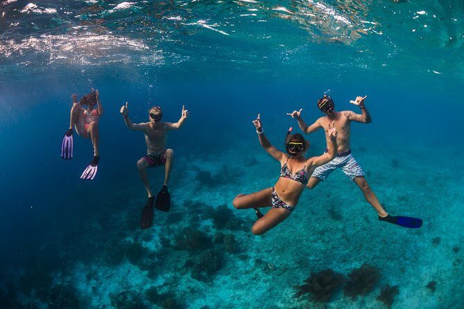 Catamaran Snorkel & BBQ Sail (cruise friendly) - Authentic Feedback from Travelers  