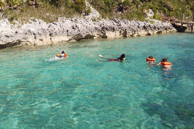 Catamaran Snorkel & Beach Day with Turtles - Meeting Points and Practical Details  