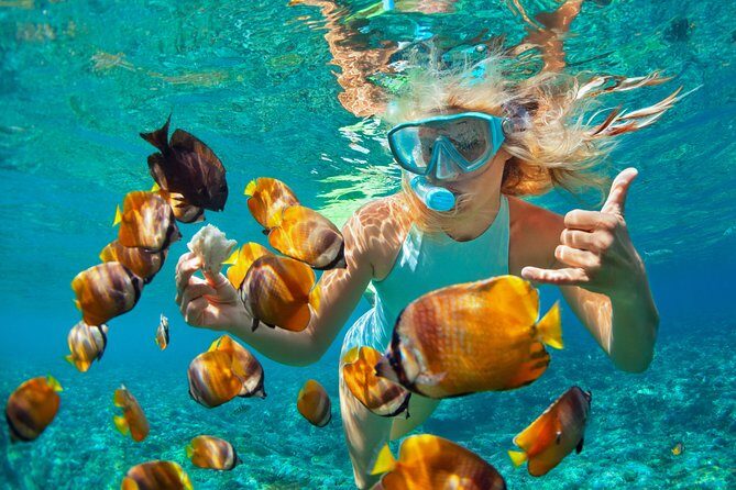 Catamaran Snorkeling All-Inclusive Day-Trip - What to Expect from the Trip