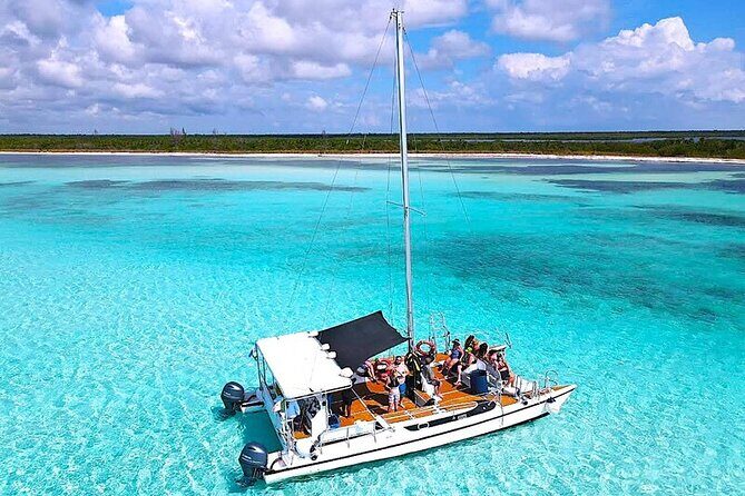 Catamaran Snorkeling to El Cielo and The Money Bar Beach Club - A Detailed Look at the Tour