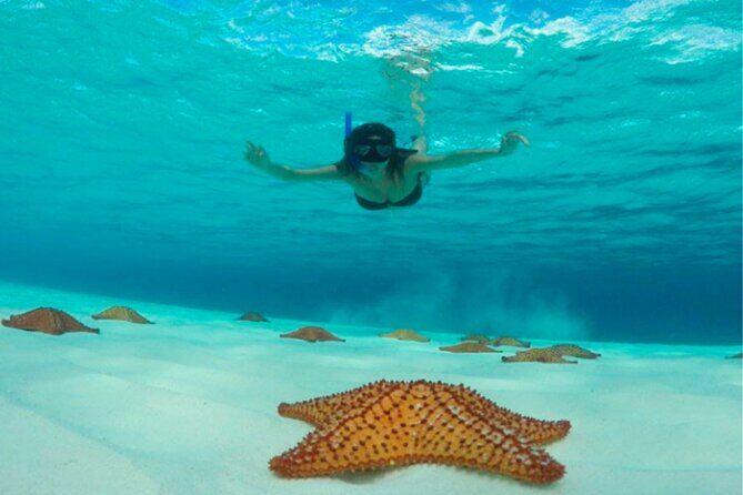 Catamaran Snorkeling to El Cielo and The Money Bar Beach Club - FAQ