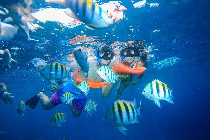 Catamaran Snorkeling Tour from Cancun with Buffet Lunch - Is It Worth the Price?