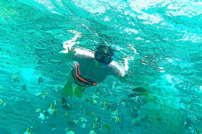 Catamaran to Isla Mujeres, from Playa del Carmen or Riviera Maya - The Sum Up