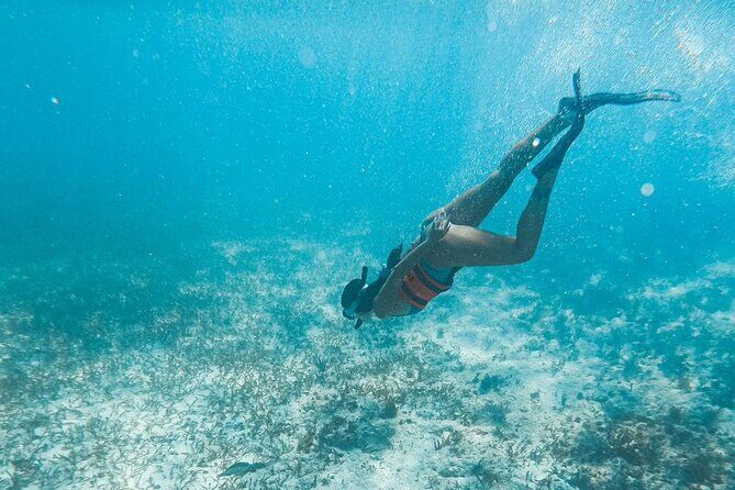 Catamaran Tour to Isla Mujeres Cancun - FAQ