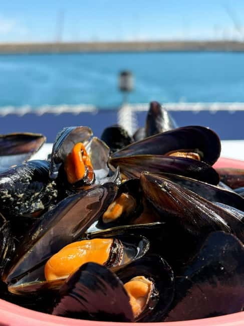 Catamaran trip and visit to the mussel nurseries with a snack - A Guide to the Valencian Catamaran and Mussel Nursery Tour
