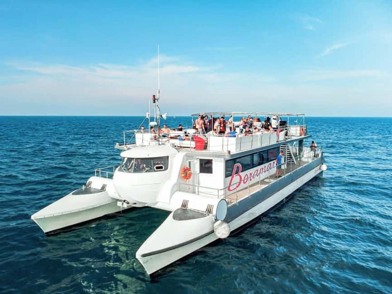 Catamaran trip and visit to the mussel nurseries with a snack - Who Will Love This Tour?
