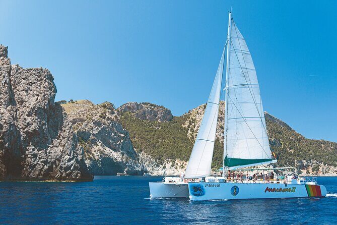 Catamaran Trip in Alcudia - Key Points