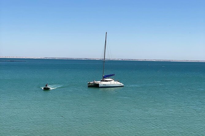 Catamaran Trip in the Big Bay of Dakhla - Discovering the Natural Beauty of Dakhla