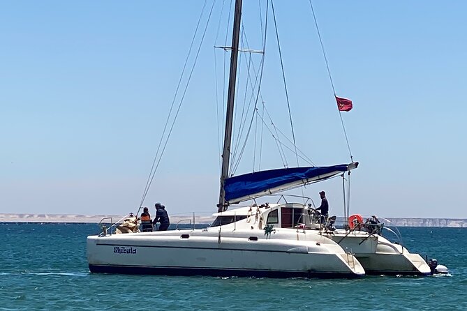 Catamaran Trip in the Big Bay of Dakhla - Feedback From Previous Participants