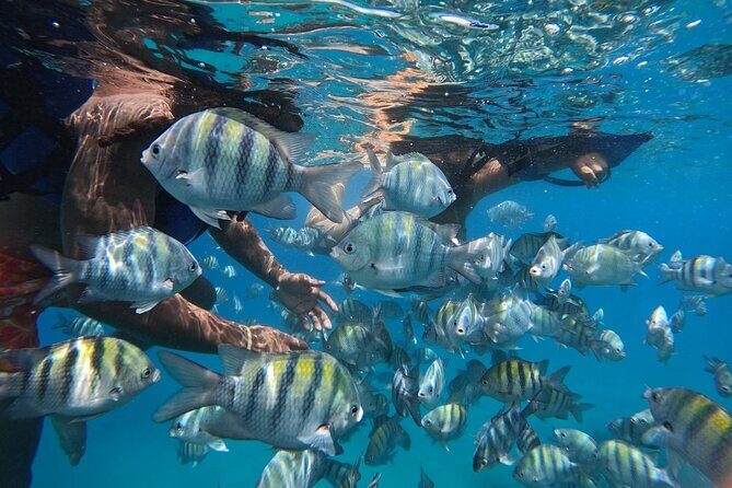 Catamaran with jacuzzi for groups Lunch and drinks Puerto plata - The Authentic Touch: What Travelers Say