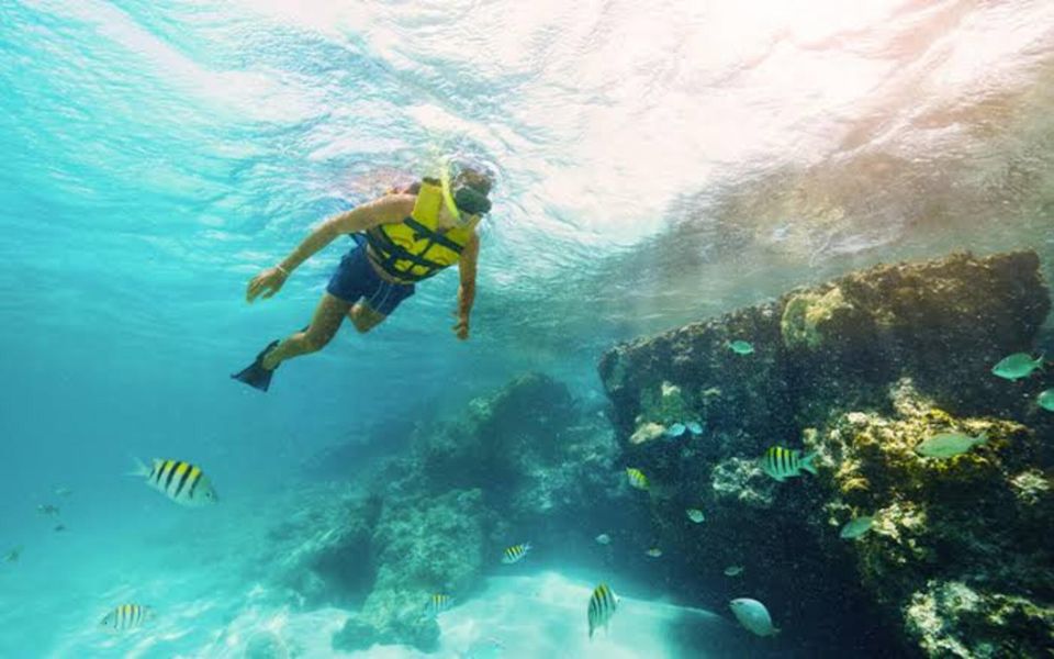 Catamaran With Open Bar & Food Included - Sailing to Isla Mujeres