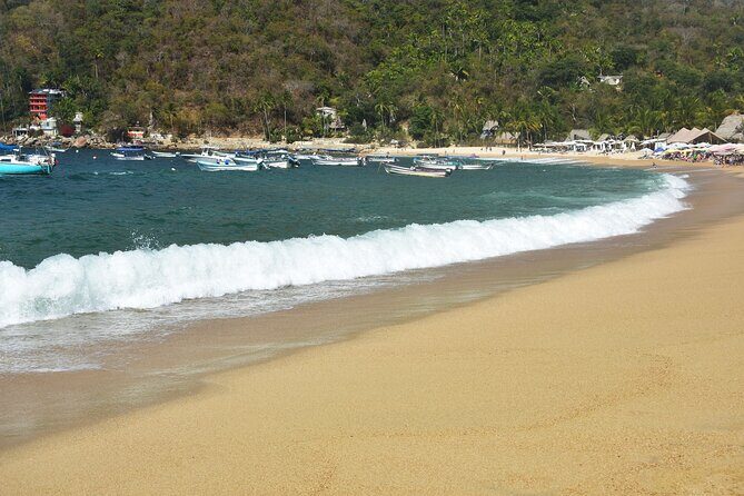 Catamaran Yelapa Beach Tour with Snorkeling, Food and Open Bar - Who Should Sign Up?
