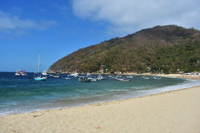 Catamaran Yelapa Beach Tour with Snorkeling, Food and Open Bar - The Sum Up: Is It Worth It?