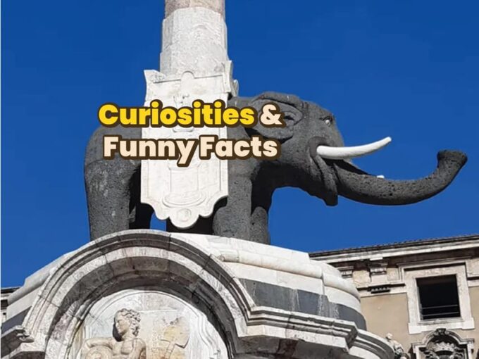 Catania: Digital Guide Made With a Local for Your Tour - Customer Feedback and Ratings