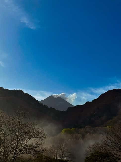 Catania: Etna and Snorkeling Tour - An In-Depth Look at the Tour