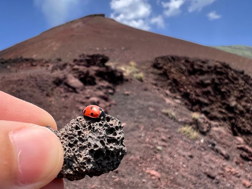 Catania: Etna Morning Tour With Local Flavors and Pickup - Recap