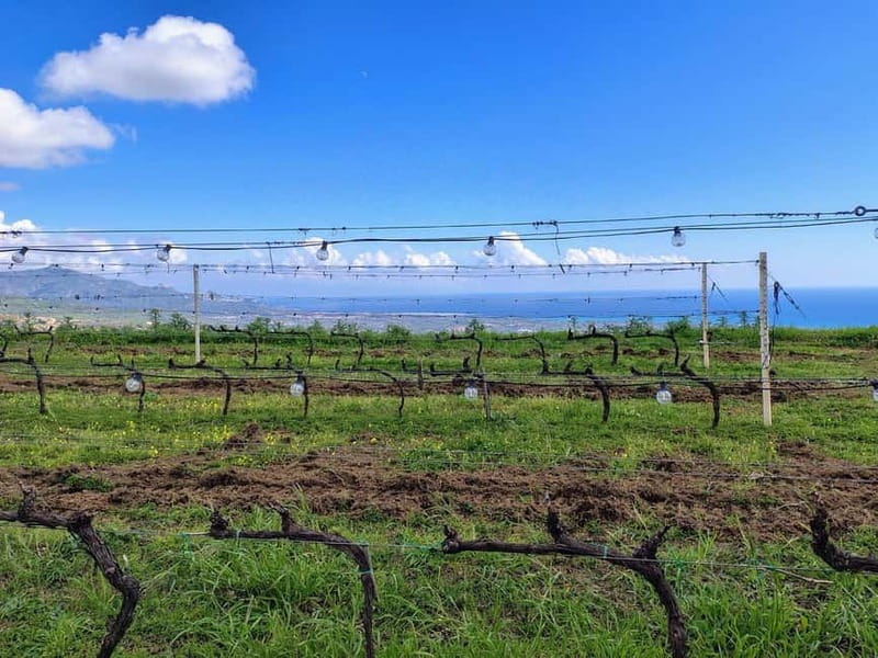 Catania: Etna South Wine & Sicilian Delights Tour - Key Points