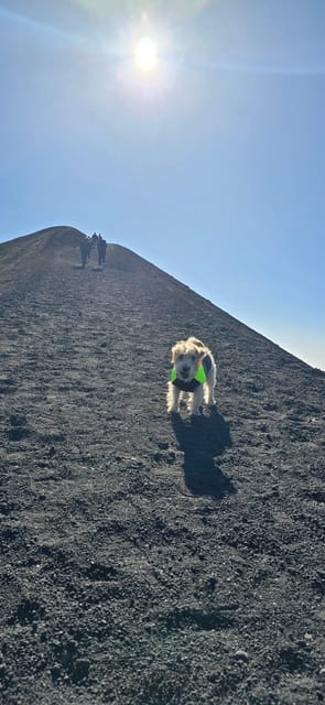 Catania: Etna Tour in the Morning - Preparing for the Tour