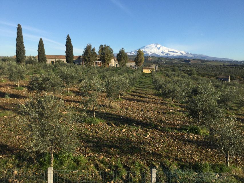 Catania: Gaspare Well Farm Guided Tour With Tastings - Tasting Experience