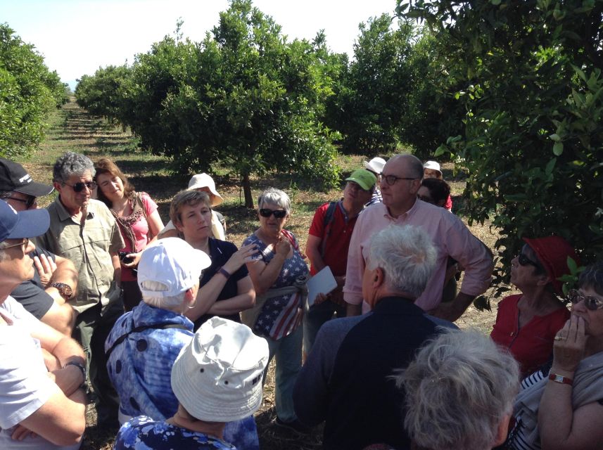Catania: Gaspare Well Farm Guided Tour With Tastings - Customer Feedback
