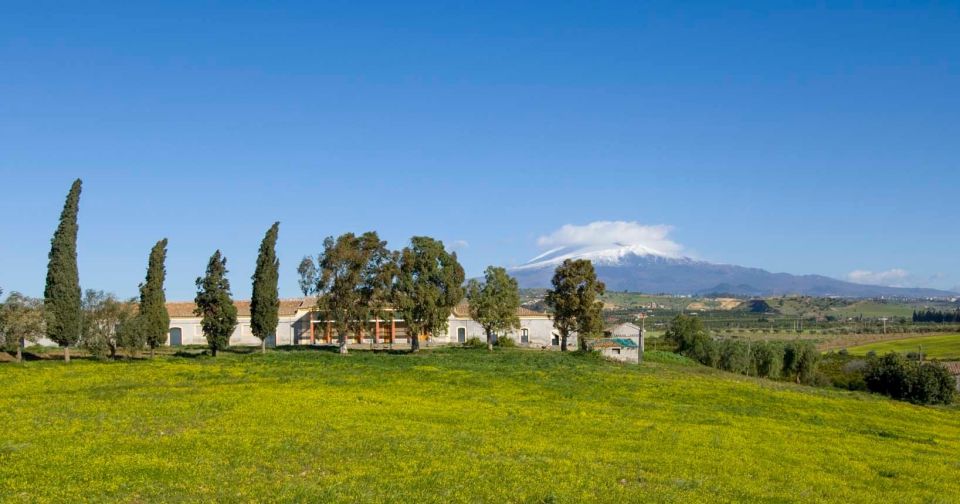 Catania: Gaspare Well Farm Guided Tour With Tastings - Nearby Attractions