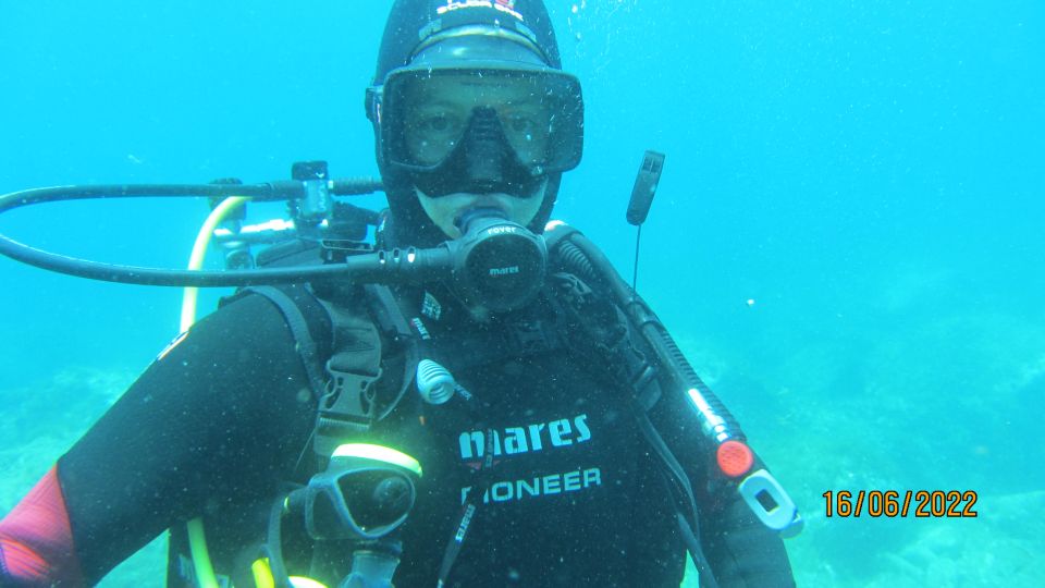 Catania: Gulf Scuba Diving Tour With Marine Biologist - Key Points