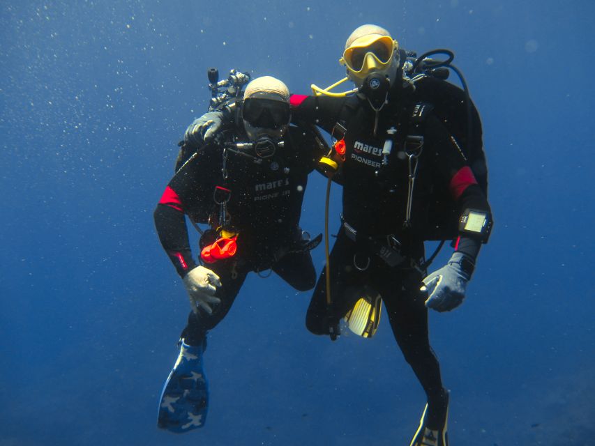 Catania: Gulf Scuba Diving Tour With Marine Biologist - Itinerary Details