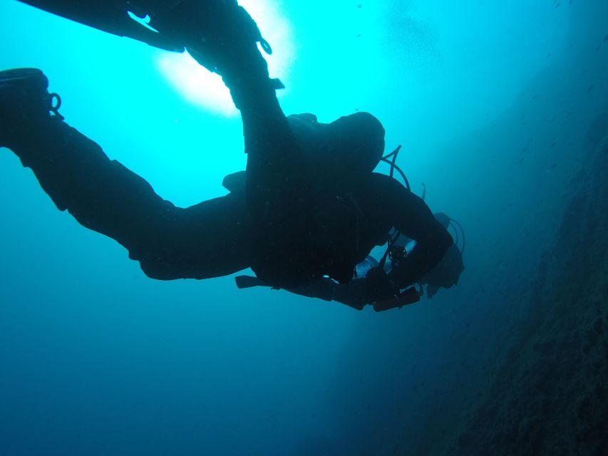Catania: Gulf Scuba Diving Tour With Marine Biologist - Booking Information