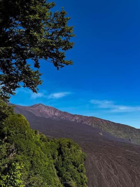 Catania: Mount Etna and Alcantara River Guided Tour - Who Should Consider This Tour?