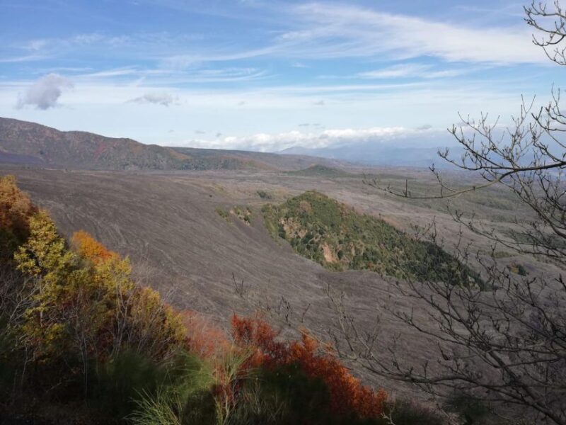 Catania: Mount Etna and Alcantara River Guided Tour - Final Thoughts