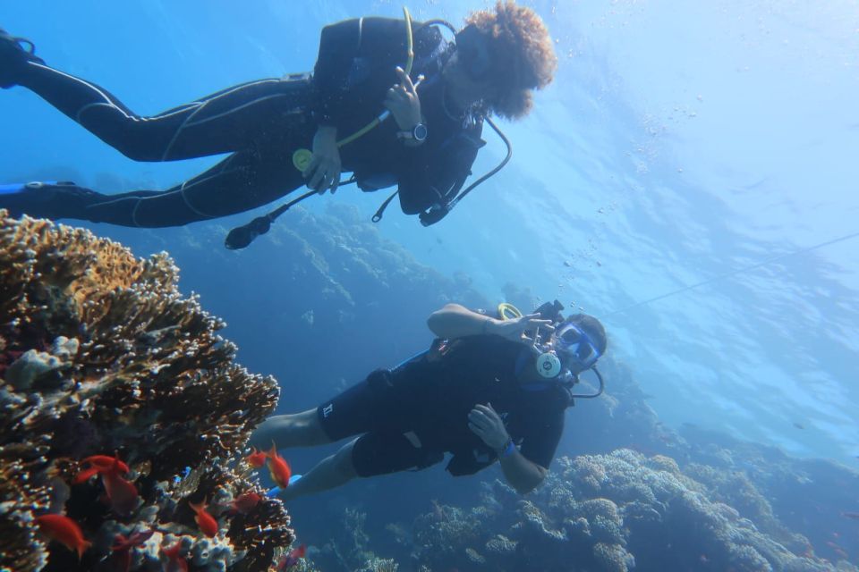 Catania: Mount Etna & Cyclopean Scuba Diving Experience - Exploring Etna National Park