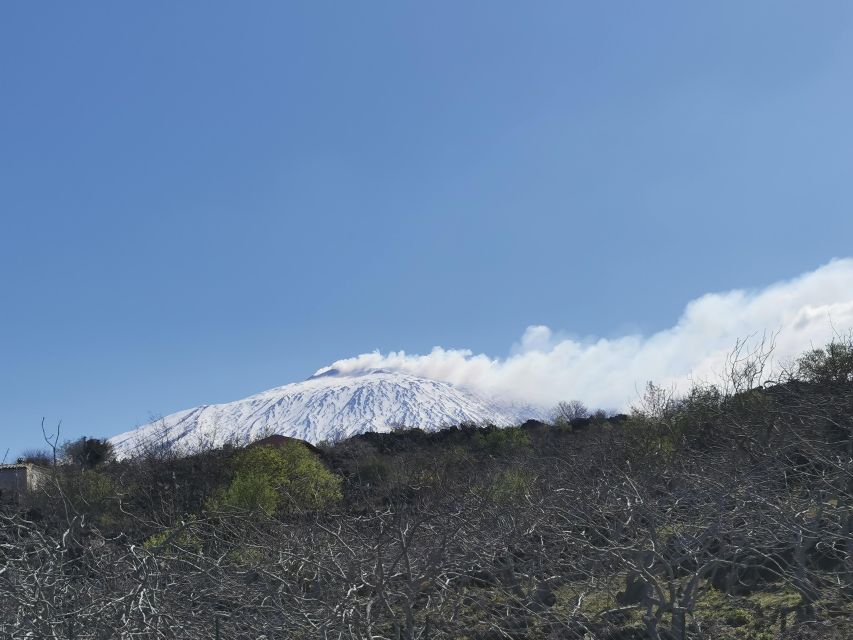 Catania: Mount Etna & Cyclopean Scuba Diving Experience - Dormant Volcanic Crater Hikes