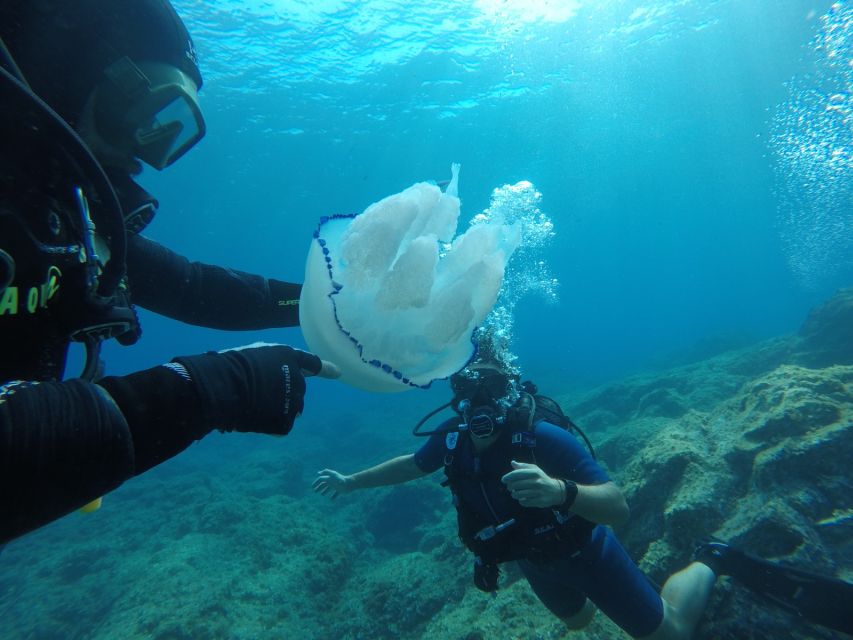 Catania: Mount Etna & Cyclopean Scuba Diving Experience - Discovering Etnas Flora and Fauna
