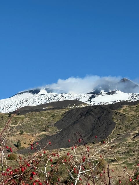 Catania: Mount Etna Morning Jeep Tour - Customer Reviews and Testimonials