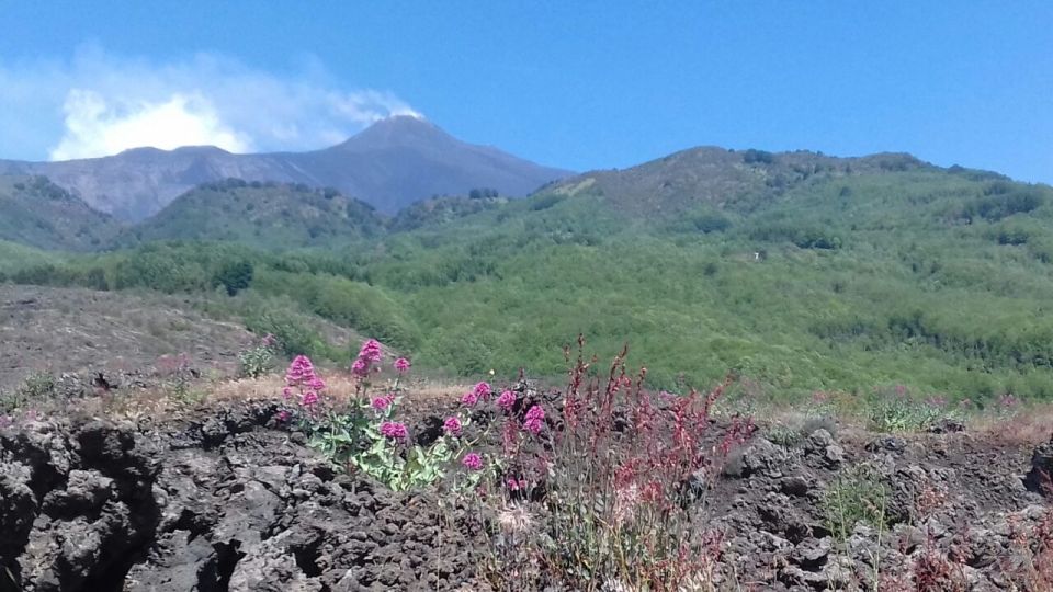 Catania: Mount Etna Sunset Tour and Etna Doc Wine - Key Points