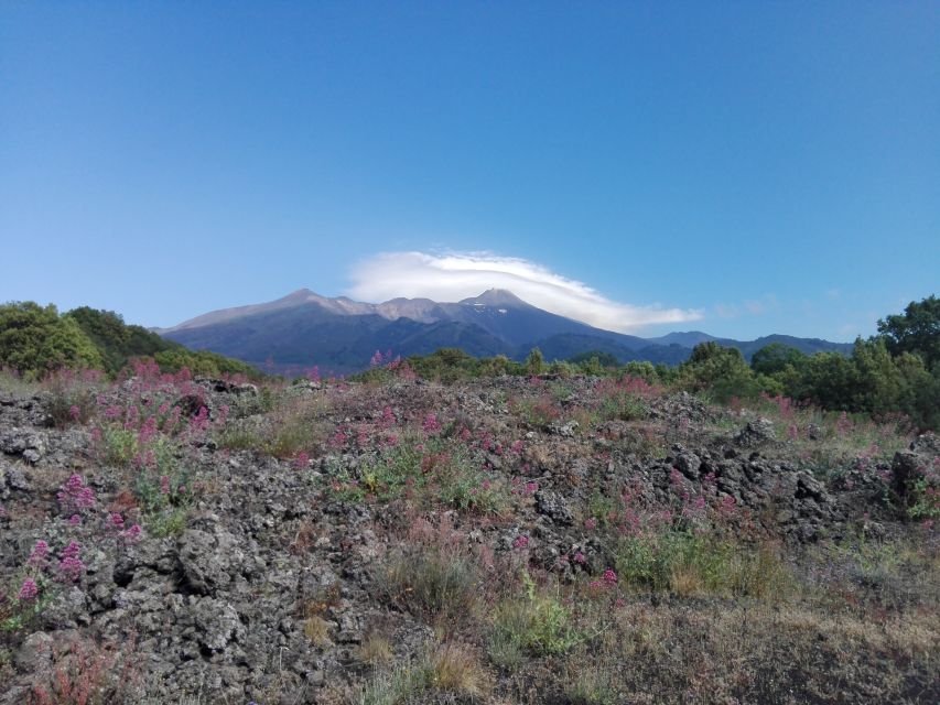 Catania: Mount Etna Sunset Tour and Etna Doc Wine - Participant Information