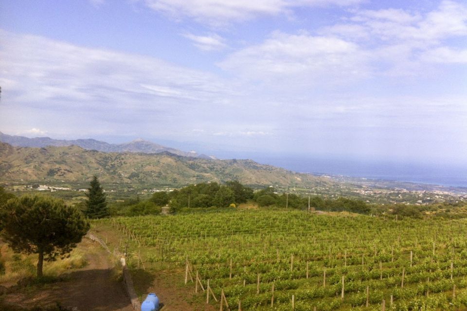 Catania: Mt. Etna Private Tour With Food and Wine Tasting - Tasting Local Honey, Jams, and Liquors
