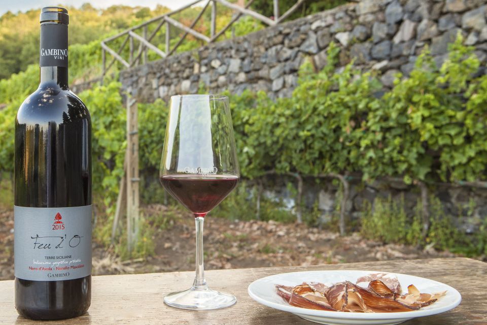 Catania: Mt. Etna Private Tour With Food and Wine Tasting - Wine Tasting and Food Pairing