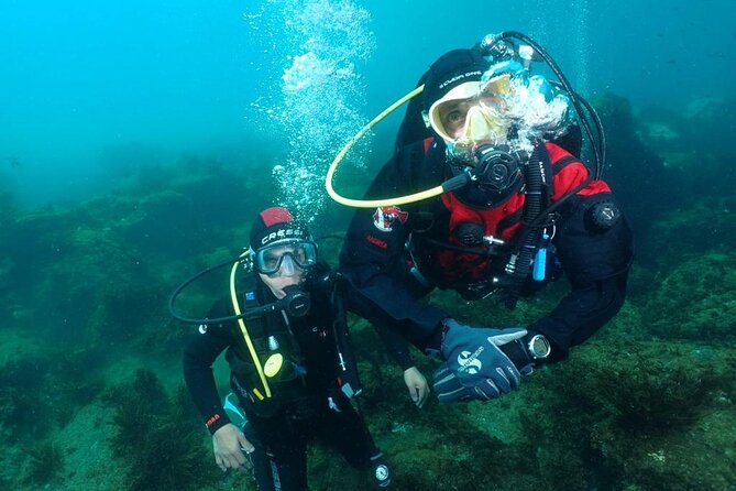 Catania: Scuba Diving Experience - Marine Flora and Fauna Encounter