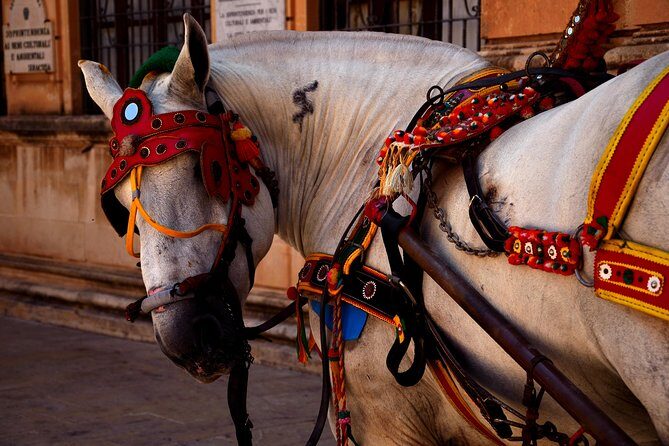 CATANIA TRANSFER to or from TAORMINA, GIARDINI NAXOS or SYRACUSE - What to Expect from the Transfer Experience