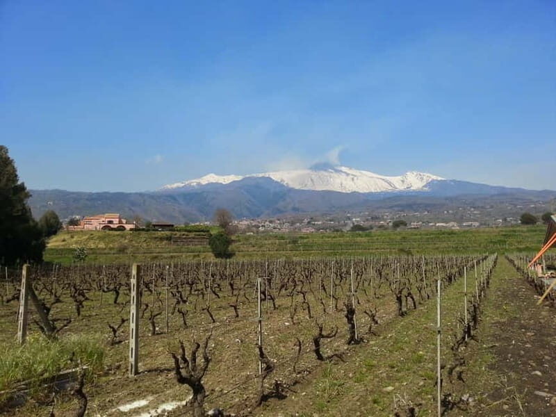 Catania : Wine and Lunch Tour - FAQs