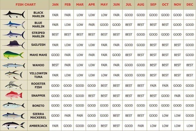 Catch the big one in Cabo! All inclusive fishing! - Final Thoughts